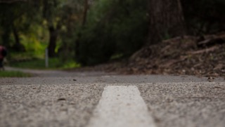 Carolyn Lunt, Merri Creek, roadway